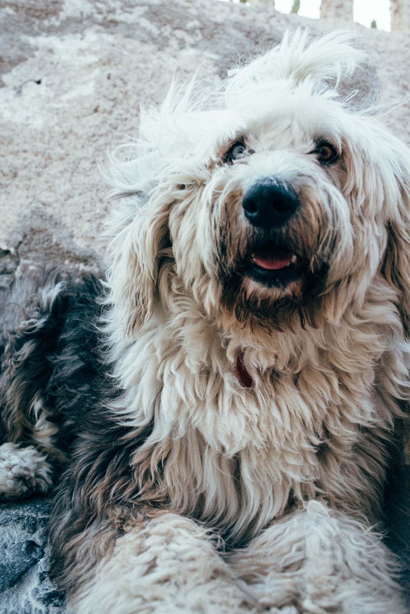manes-wedding-photographer-greece-161