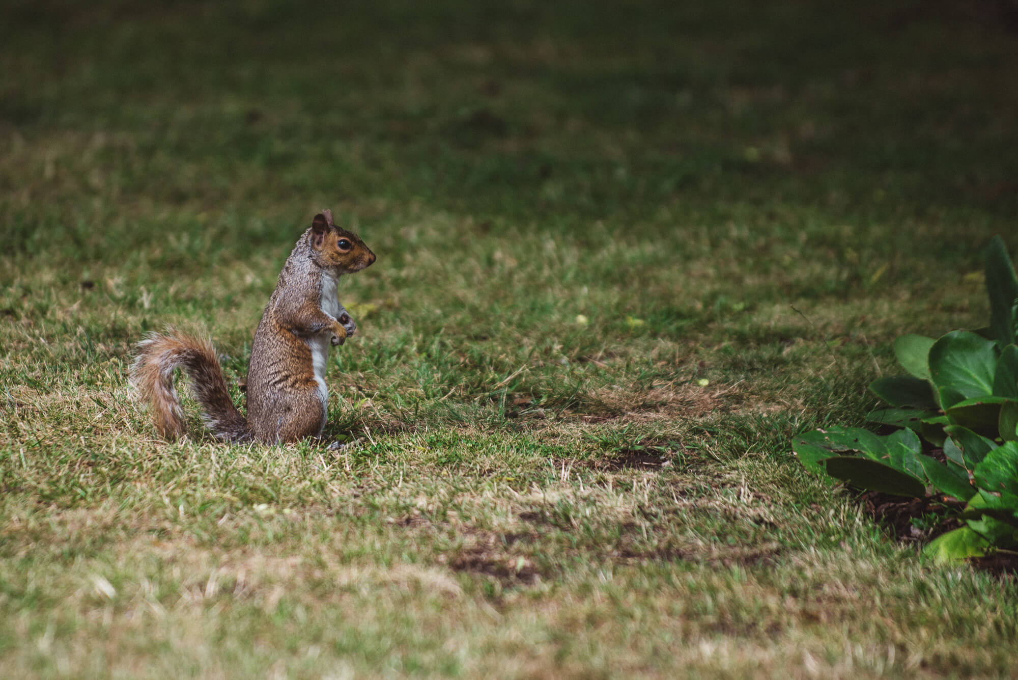 same sex london wedding photographer