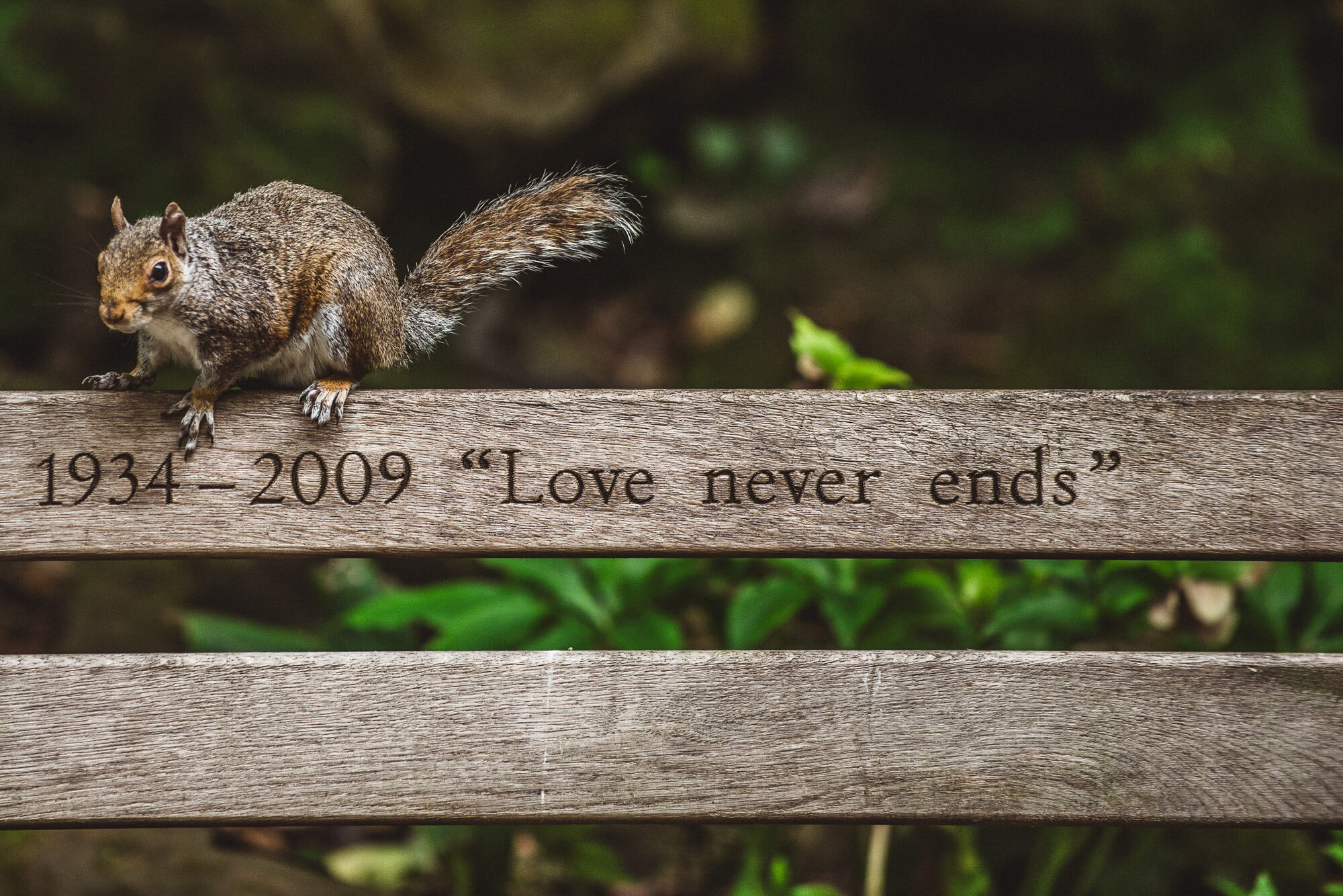 same sex london wedding photographer