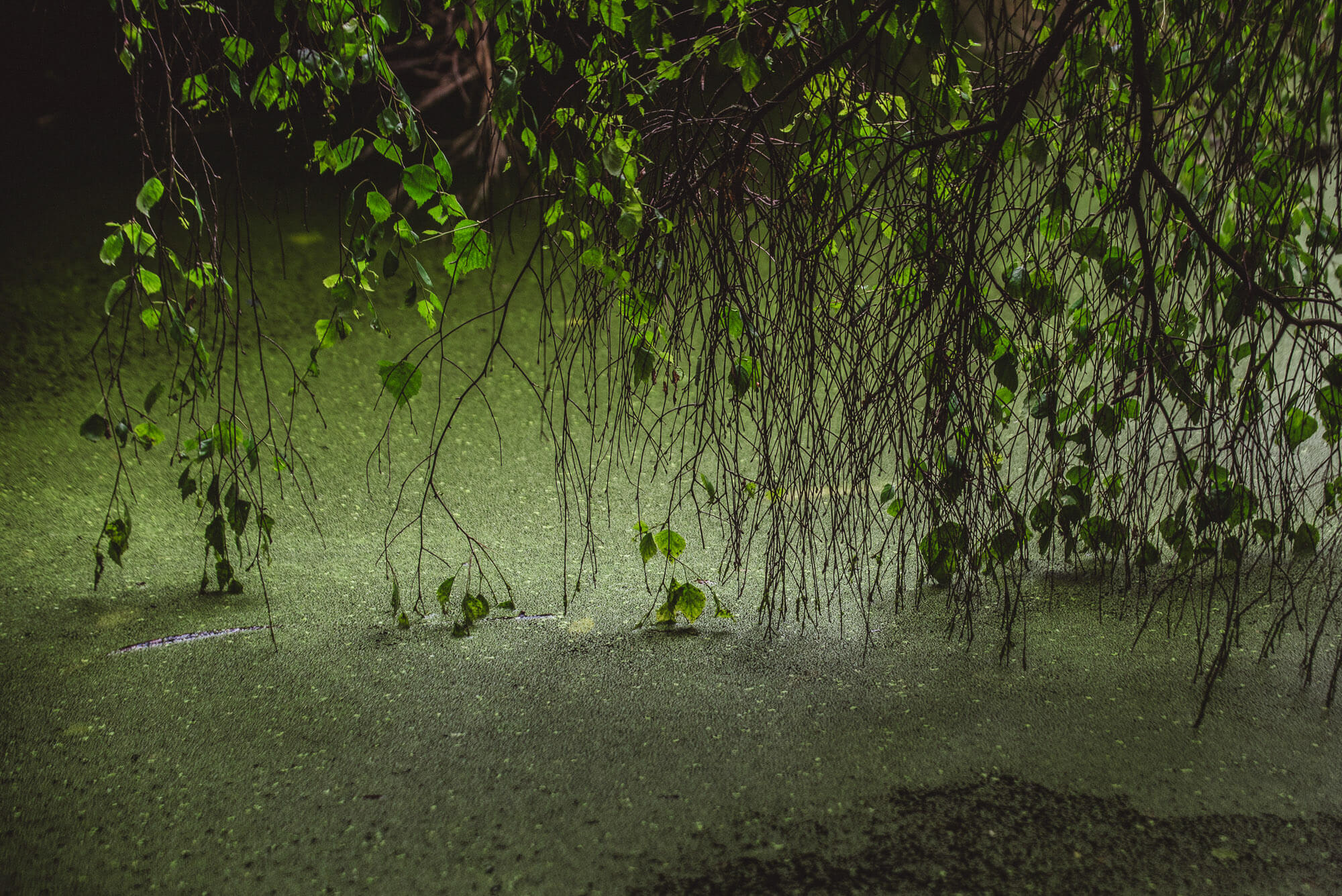 same sex london wedding photographer