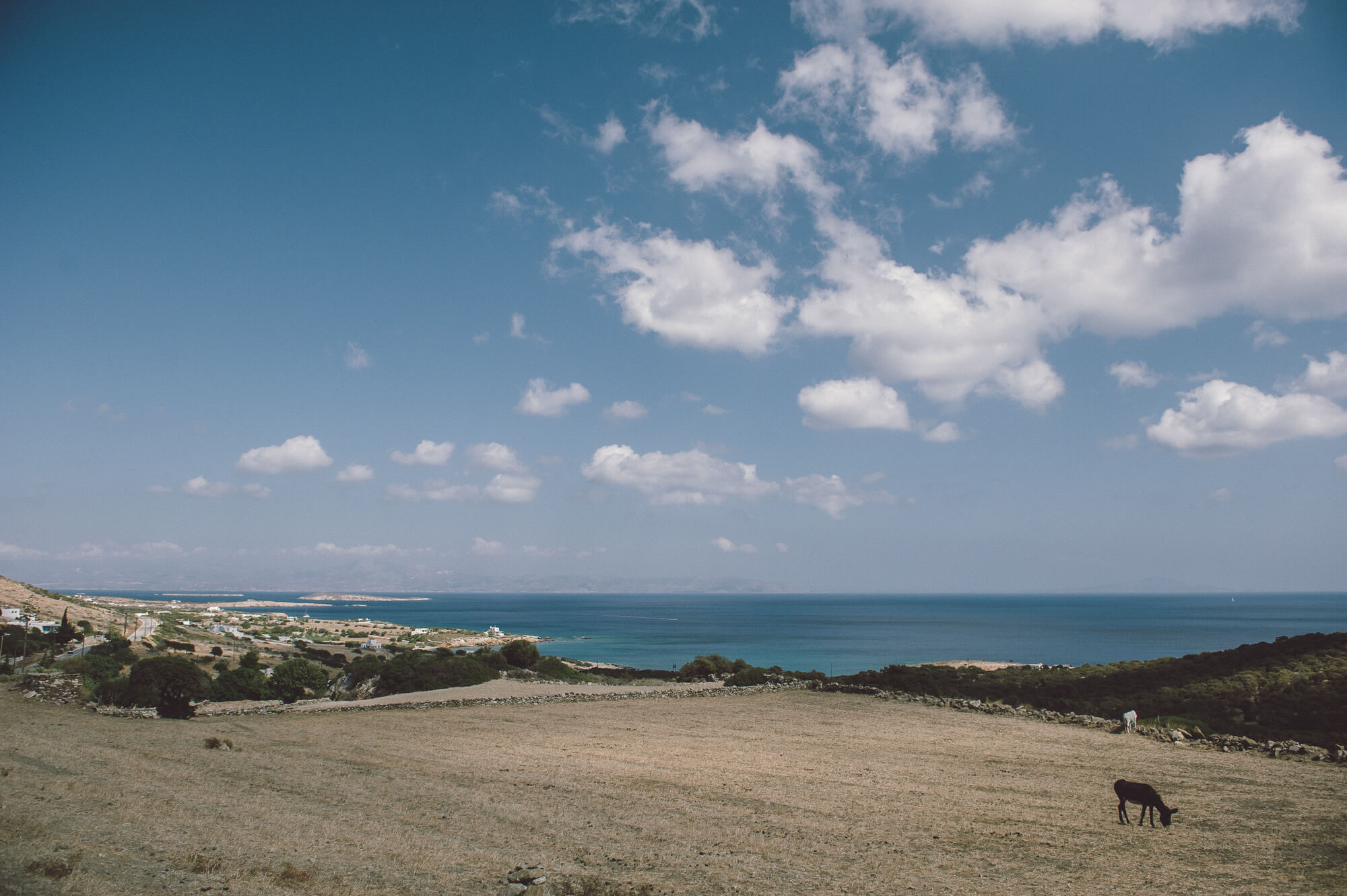 manes paros wedding photographer