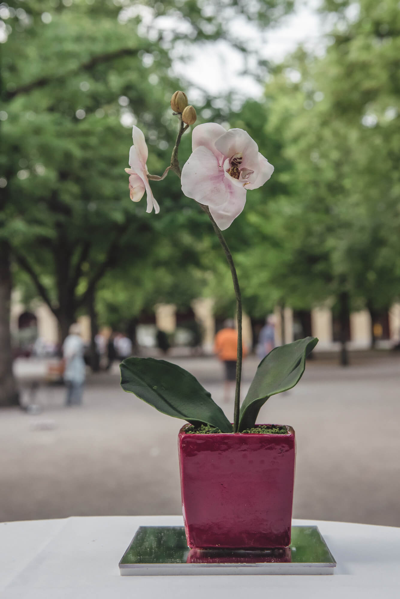 Manes Munich wedding photographer