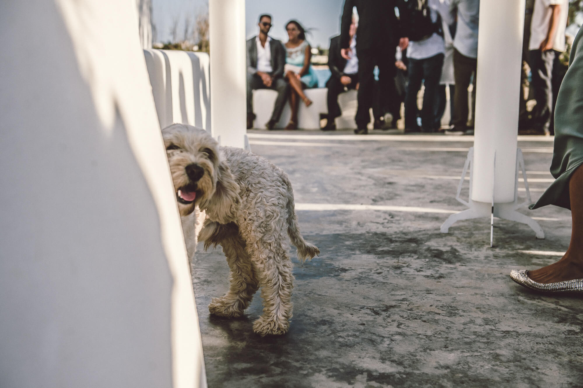 manes paros wedding photographer