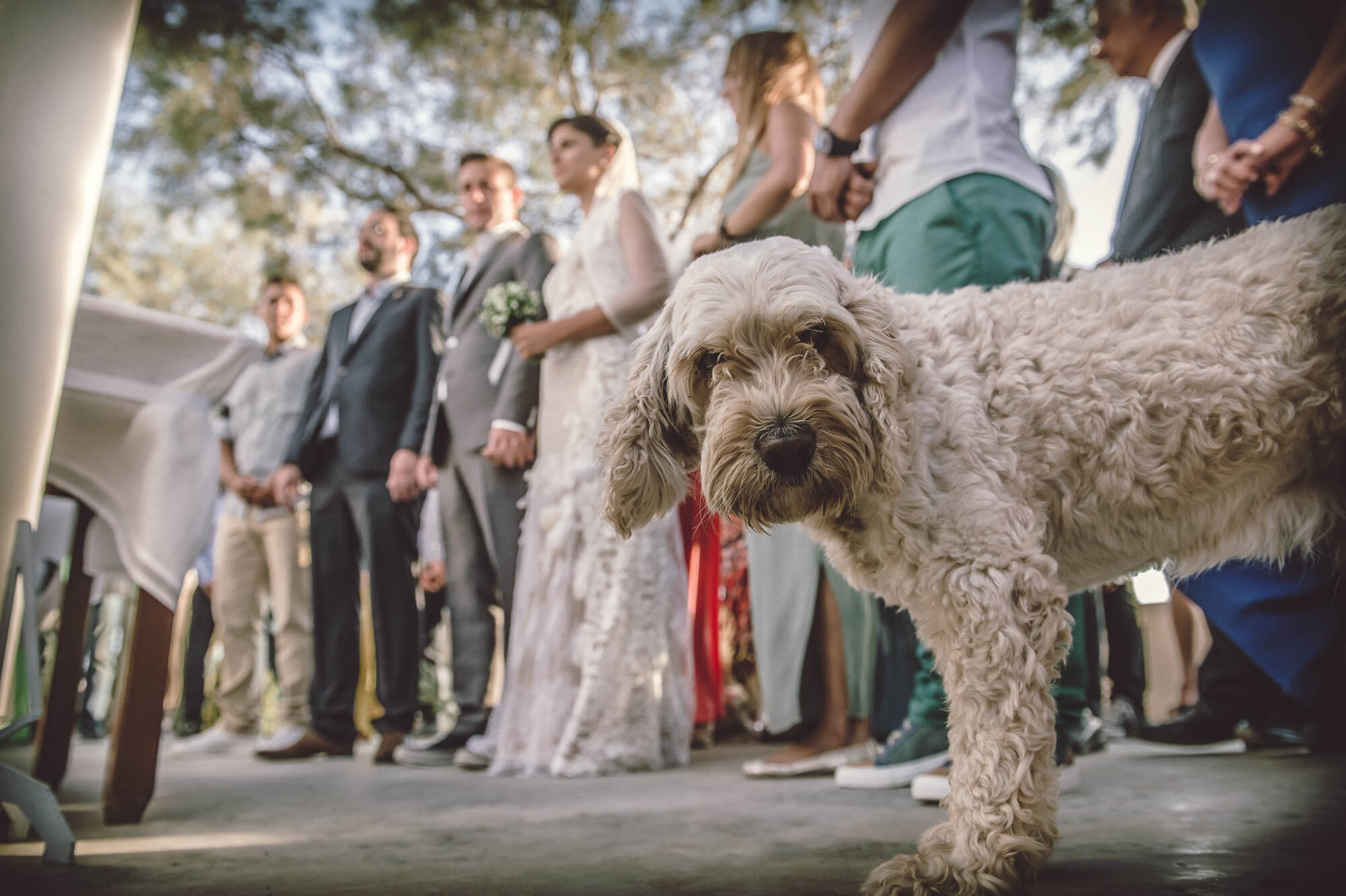 manes paros wedding photographer