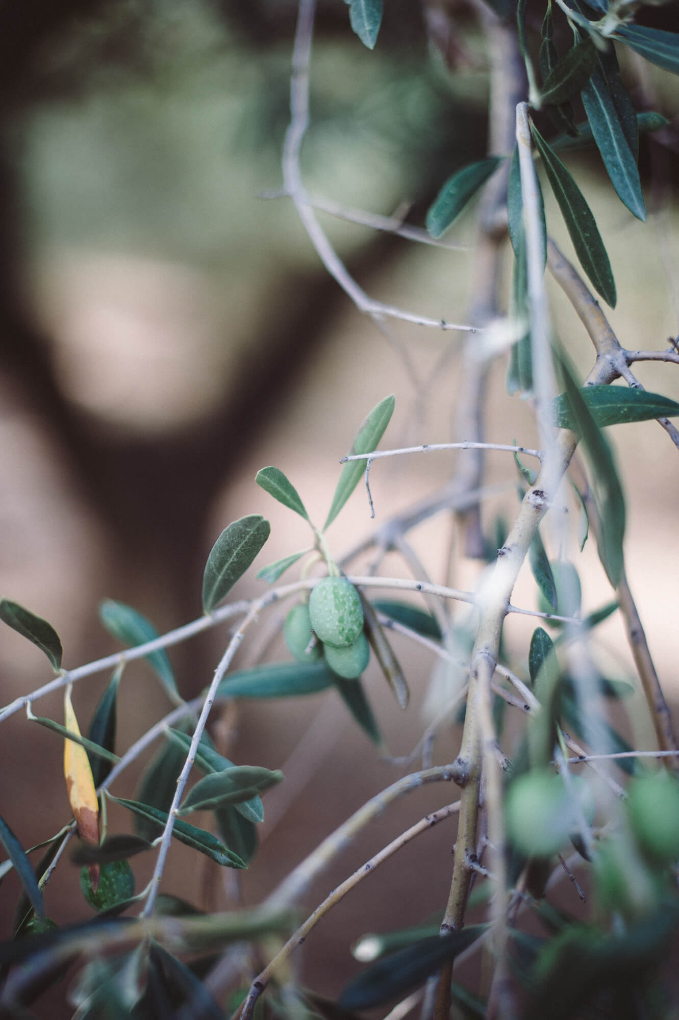 manes wedding photographer greece