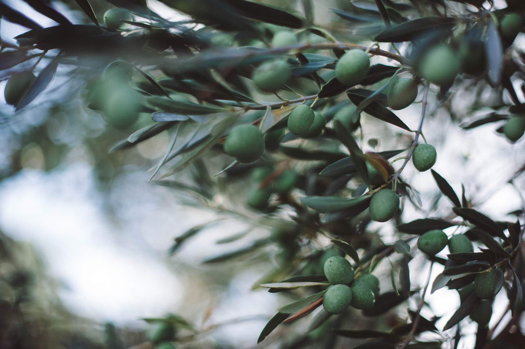 manes wedding photographer greece