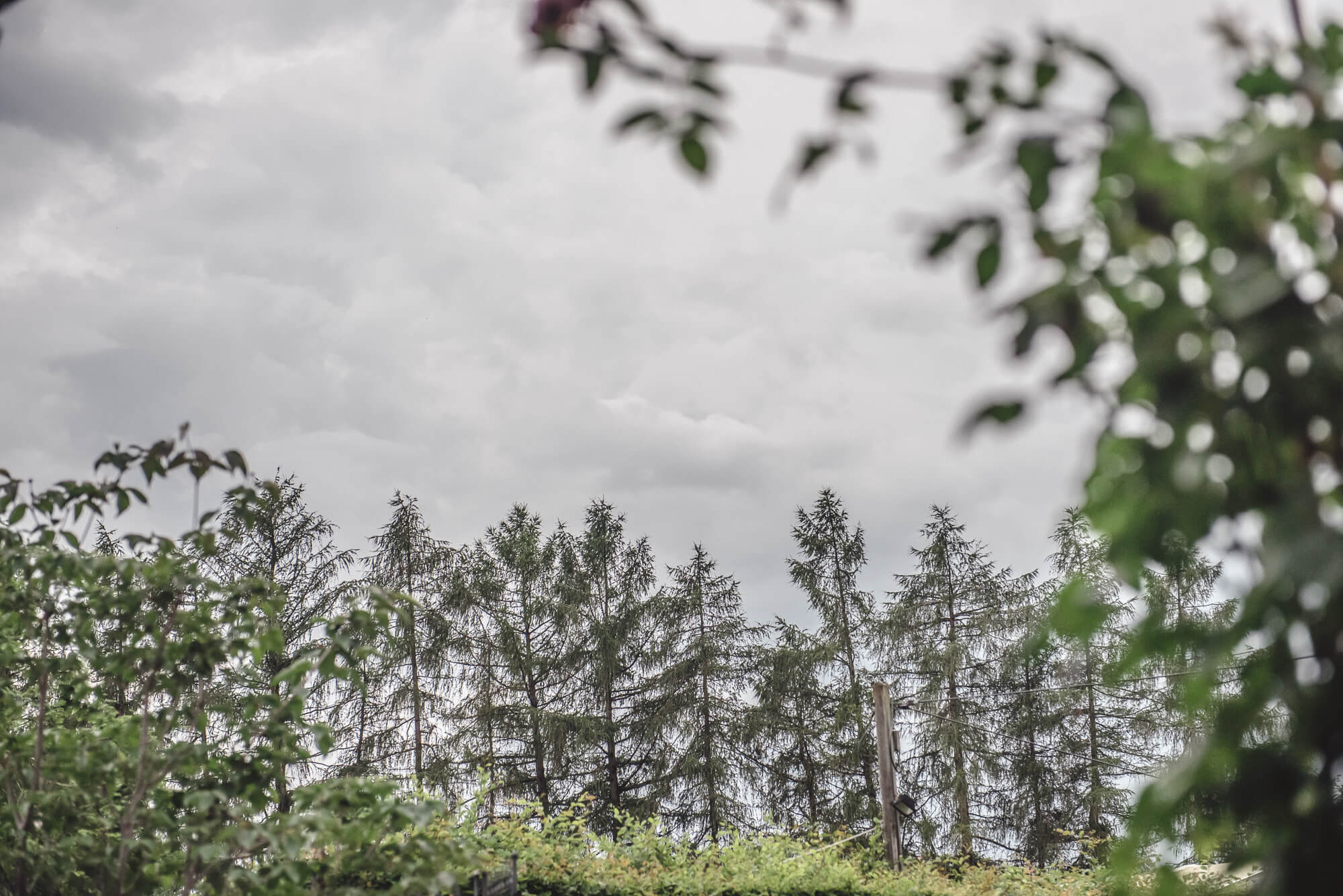 Manes Munich wedding photographer